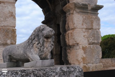A stone lion statue, inside of the Arena.